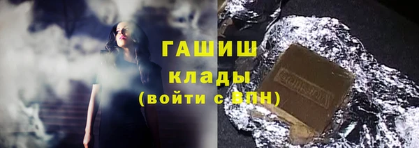 шишки Арсеньев