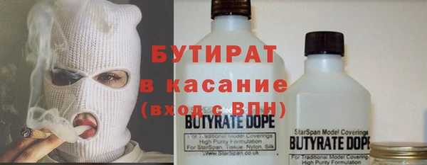 шишки Арсеньев