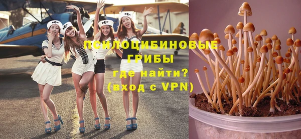 шишки Арсеньев