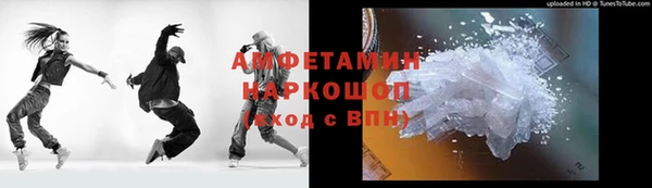 шишки Арсеньев