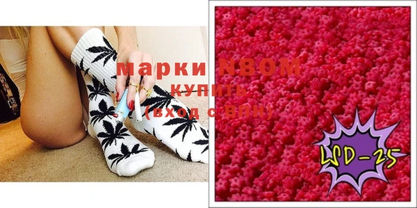 шишки Арсеньев