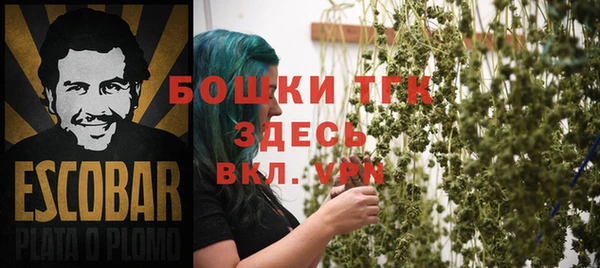 шишки Арсеньев
