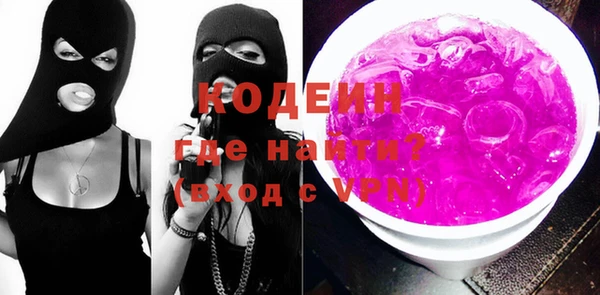 шишки Арсеньев