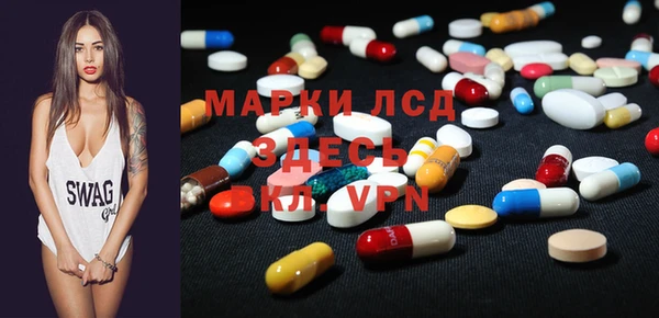 шишки Арсеньев