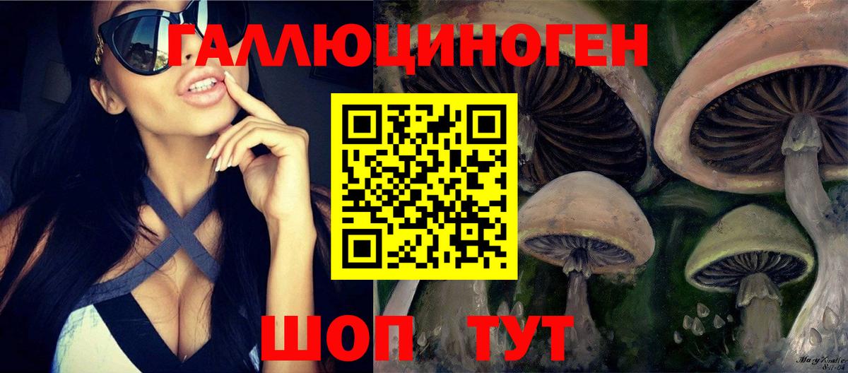 Долгопрудный  Галлюциногенные грибы Cubensis  Вход с VPN  Галлюциногенные грибы GOLDEN TEACHER 